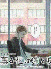 星期六实验室喜剧综艺封面